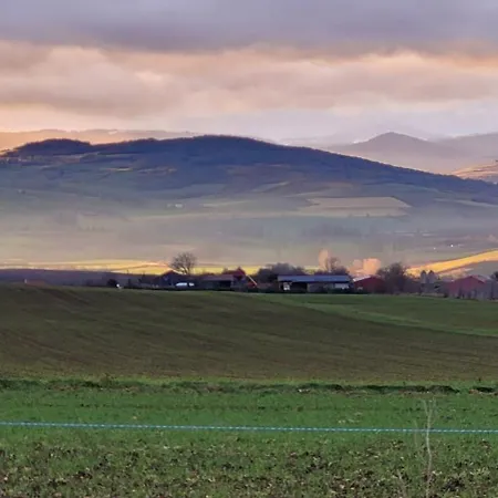 Joli Dans Cuvage D'une Maison Vigneronne *