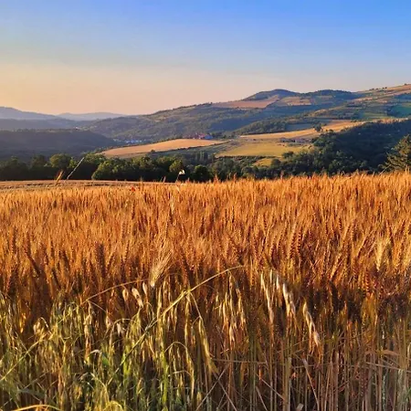 Joli Dans Cuvage D'une Maison Vigneronne * Saint-Yvoine