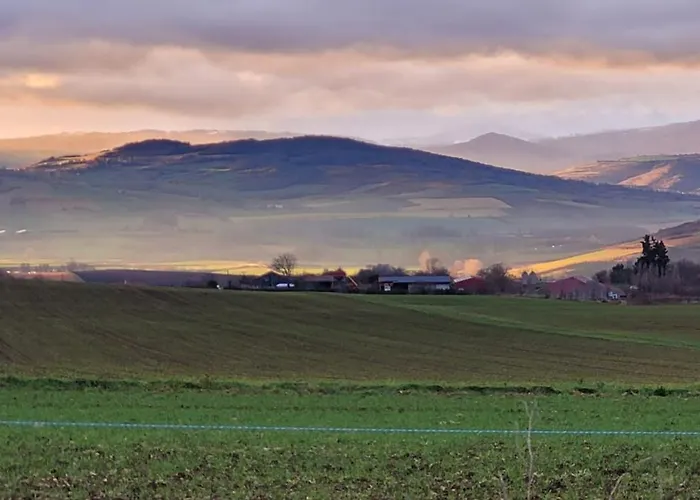 Joli Dans Cuvage D'une Maison Vigneronne *