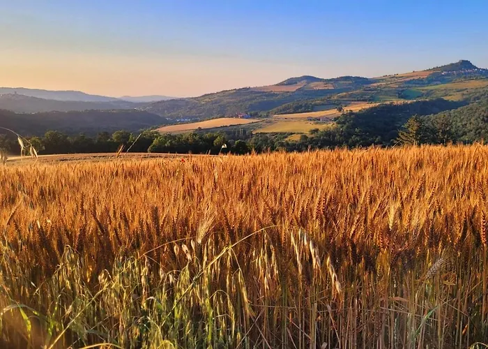 Joli Dans Cuvage D'une Maison Vigneronne * Saint-Yvoine